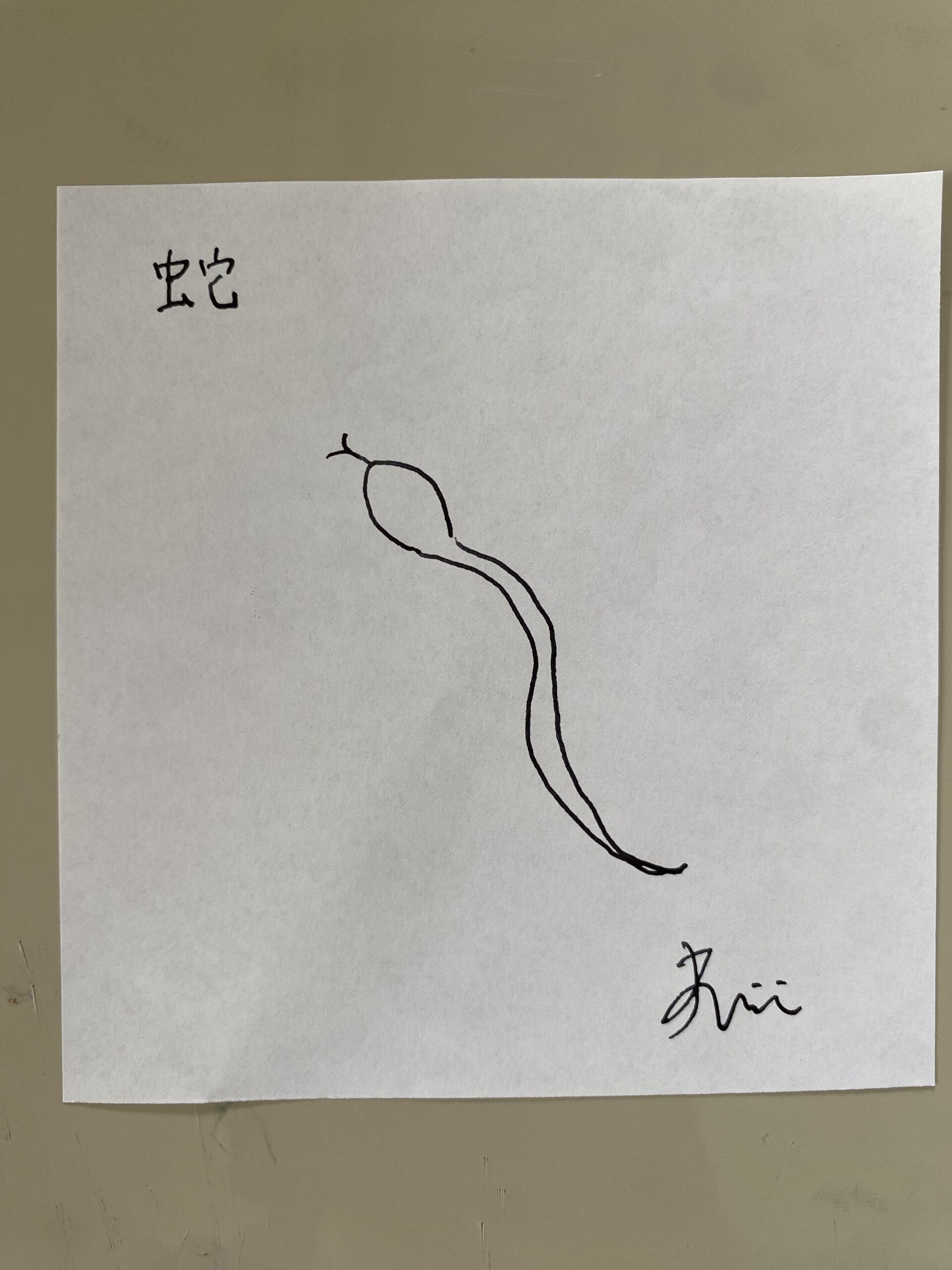 夢に出てきた「蛇」